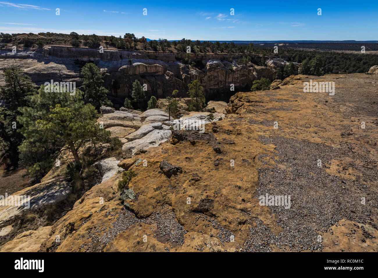 Box Canyon gesehen von oben auf den Strand entlang der Mesa Top Trails in El Morro National Monument, New Mexico, USA Stockfoto