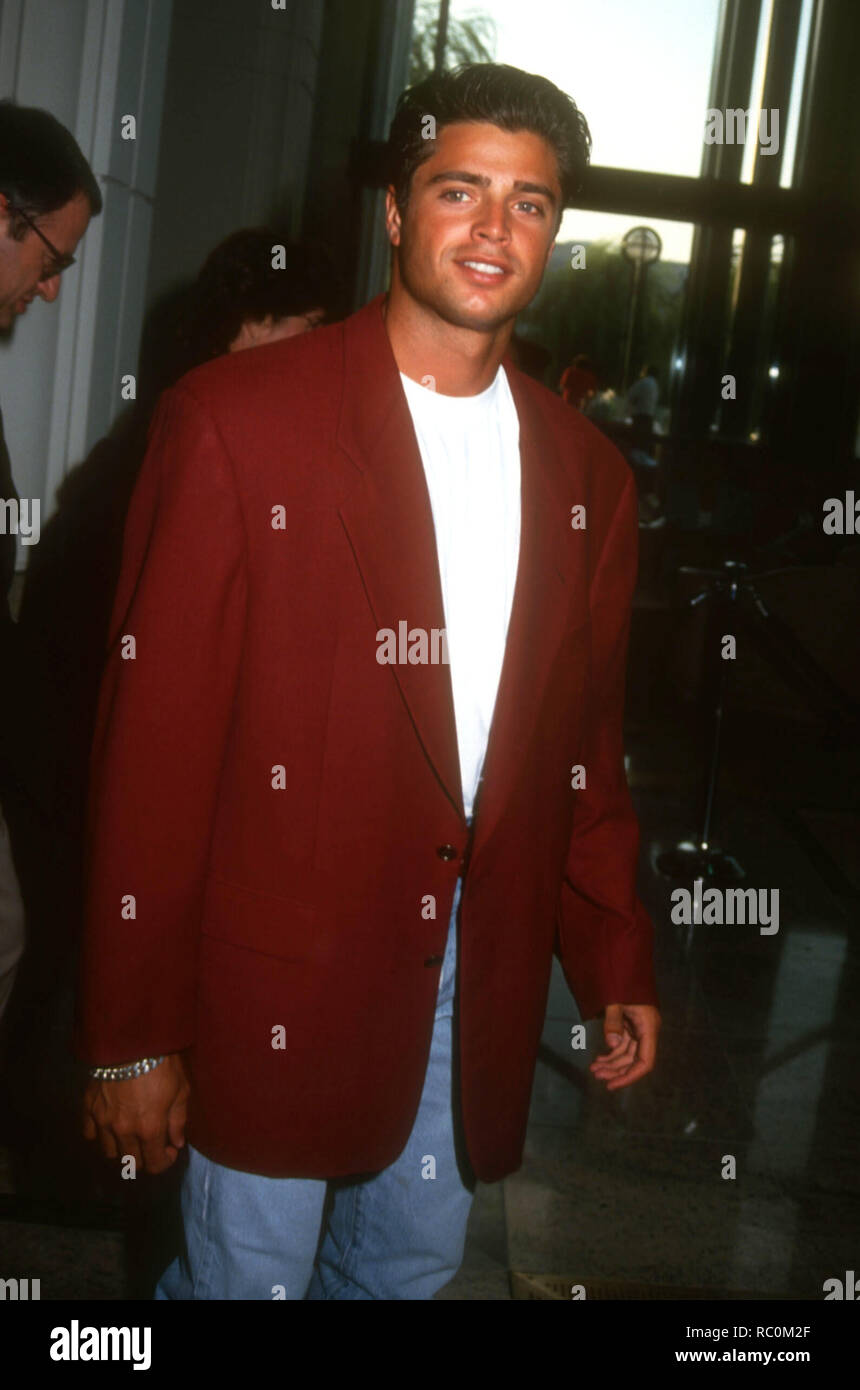 SANTA MONICA, CA - 19. August: Schauspieler David Charvet besucht die Spectrum Club/Wasser Garten Grand Opening Feier profitieren zu heilen die Bucht am 19 August, 1993 an der Spectrum Club/Wasser Garten in Santa Monica, Kalifornien. Foto von Barry King/Alamy Stock Foto Stockfoto