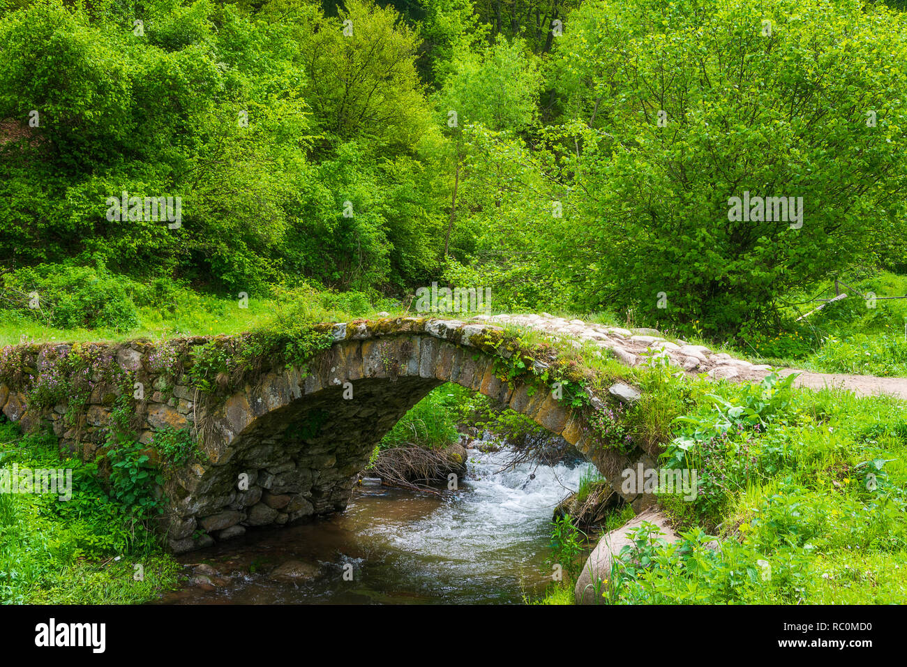 Alte steinerne Brücke Stockfoto