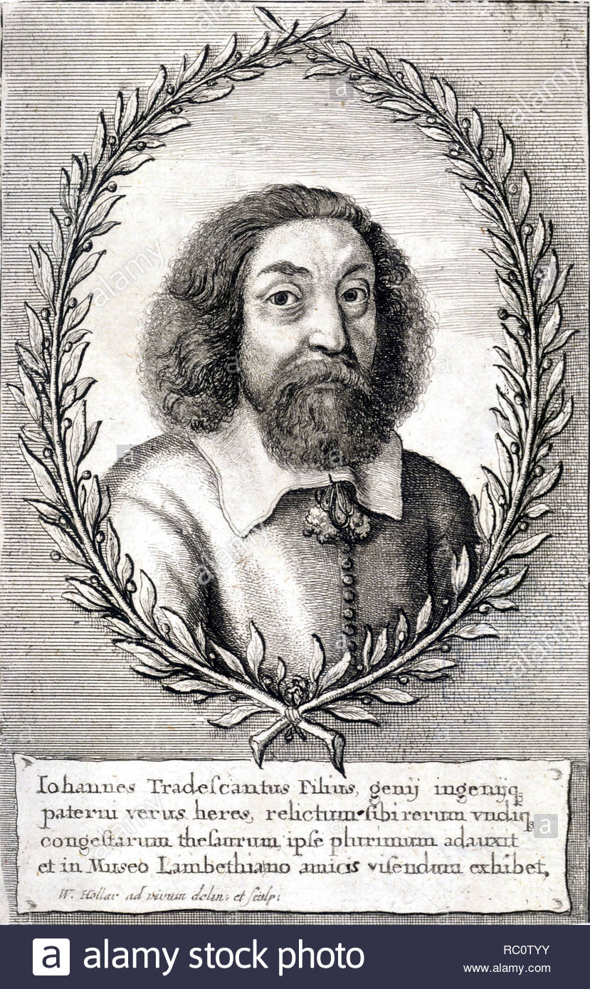 John Tradescant dem Jüngeren, 1608 - 1662, Sohn von John Tradescant der Ältere, war ein Botaniker und Gärtner, in Meopham, Kent geboren, und in der King's School in Canterbury erzogen, Radierung von Böhmische Kupferstecher Wenzel Hollar aus 1600s Stockfoto