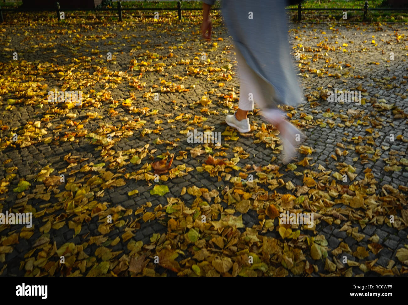 Berlin Savignyplatz Tiergarten Herbst Herbst Stockfoto