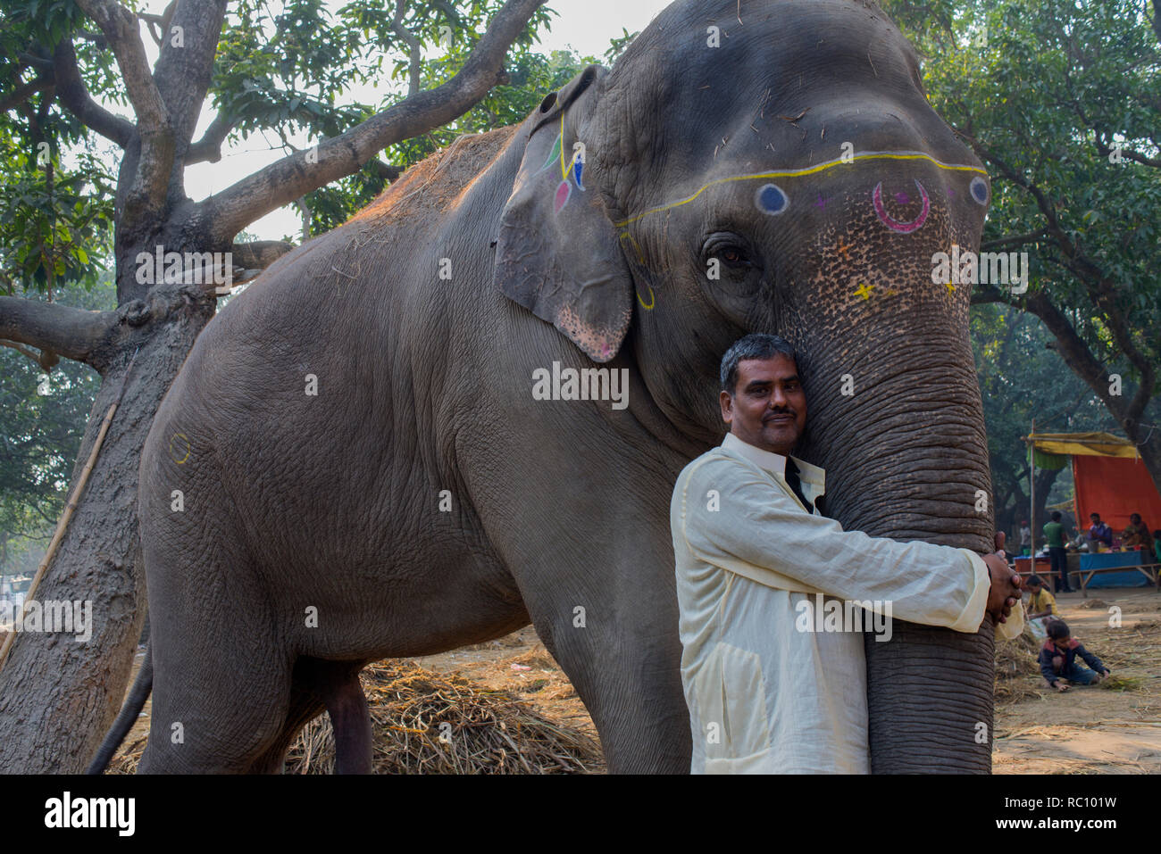 Ein Mann wirft mit seinen Elefanten während der jährlichen Viehmarkt an Sonpur in Bihar. Stockfoto