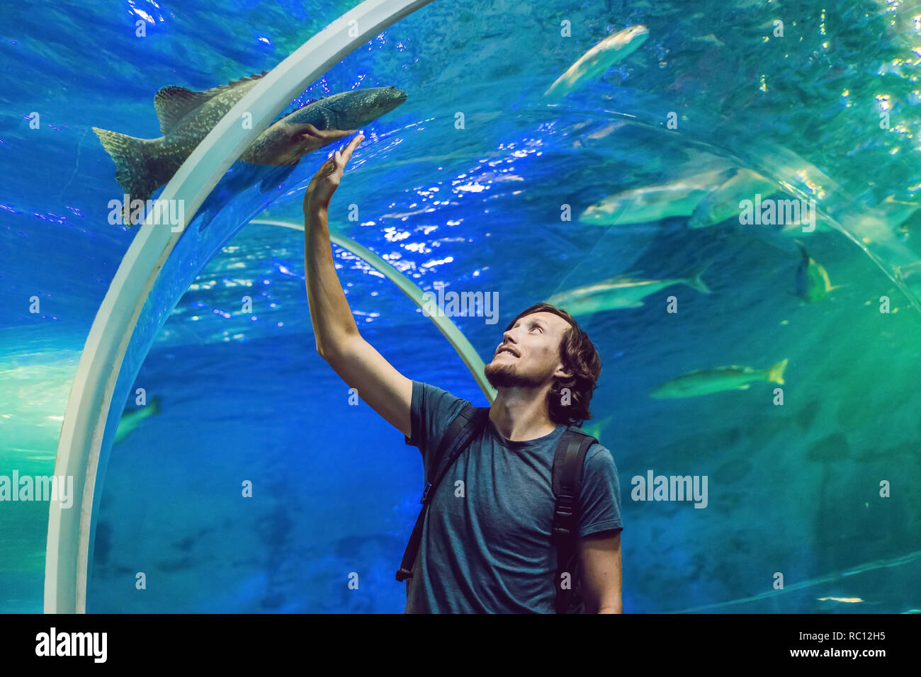Denn der Mensch sieht auf das Fische im Aquarium. Stockfoto