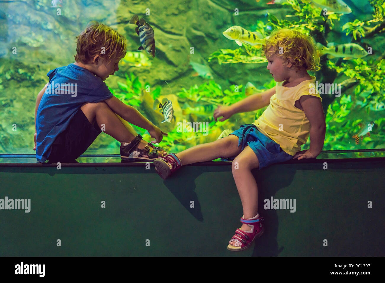 Kleine Jungen und Mädchen beobachten tropische Korallen Fische in großen Sea Life tank. Kinder im Zoo Aquarium Stockfoto