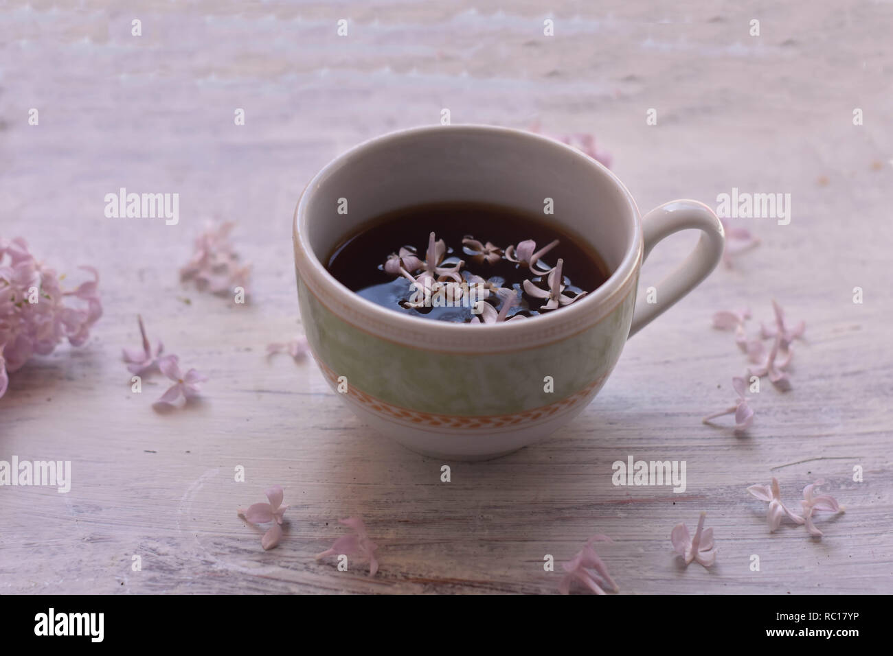 Lila Lila Blumen und Tasse Tee auf hellen Hintergrund/teatime/Frühling Hintergrund/gemütlich zu Hause / home Feder Dekoration - Bild Stockfoto