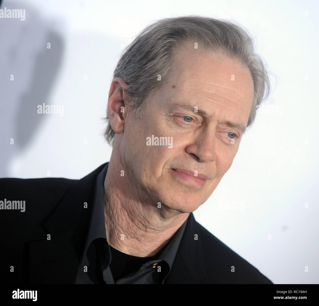 Datei Fotos: 12. Januar 2019. NEW YORK, NY - 28. April: Steve Buscemi nimmt an "Reservoir Dogs" 25-jähriges Jubiläum Screening beim Tribeca Film Festival 2017 im Beacon Theatre am 28. April 2017 in New York City People: Steve Buscemi Credit: Stürme Media Group/Alamy leben Nachrichten Stockfoto