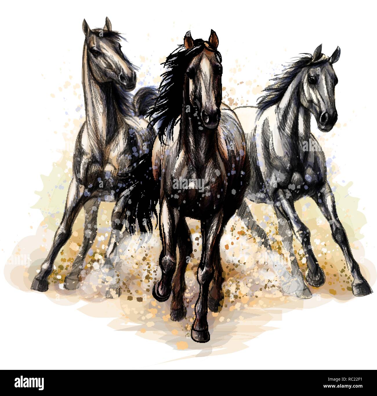 Drei Pferde laufen Galopp aus einem Splash von Aquarell, handgezeichnete Skizze Stock Vektor
