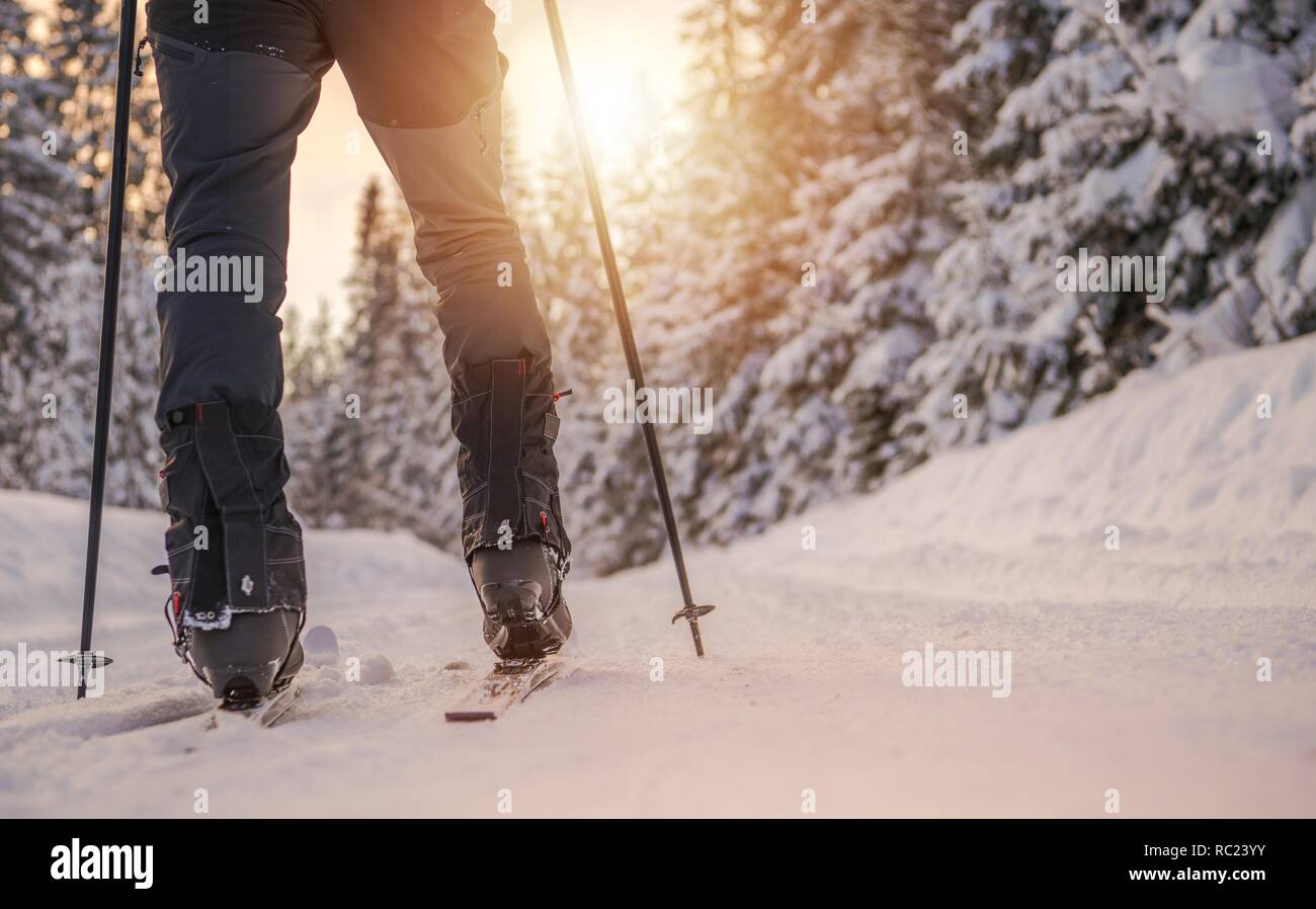 Langlauf Winter Sport Konzept. Ski- und Beine Nahaufnahme. Stockfoto