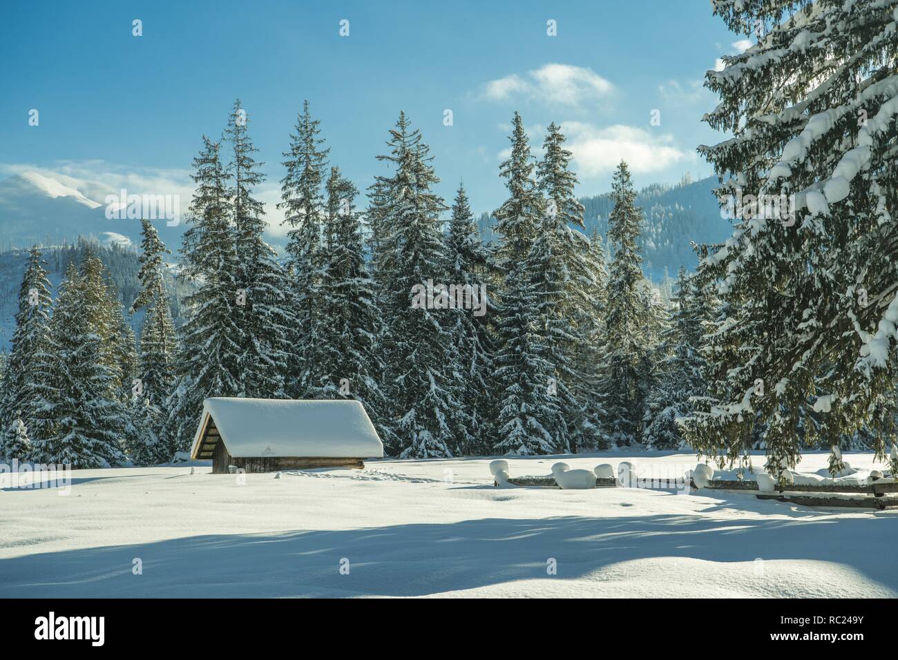 Holzhütte, die unter schweren Schnee und die Winterlandschaft. Stockfoto