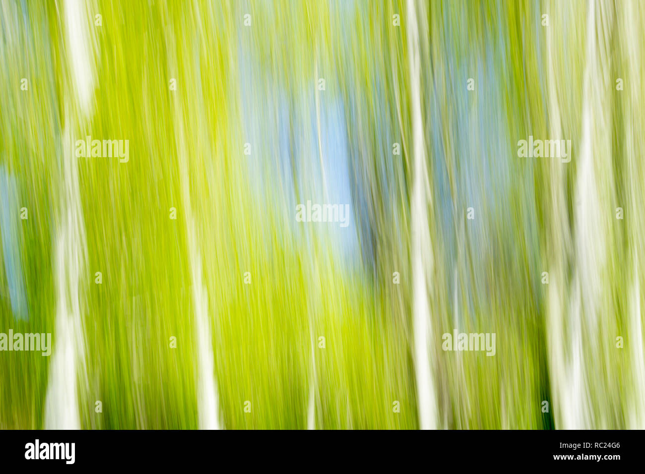 Natur Abstrakt Hintergrund Fruhling Farben Vertikale Verwischt Licht Hell Fruhling Farben Stockfotografie Alamy
