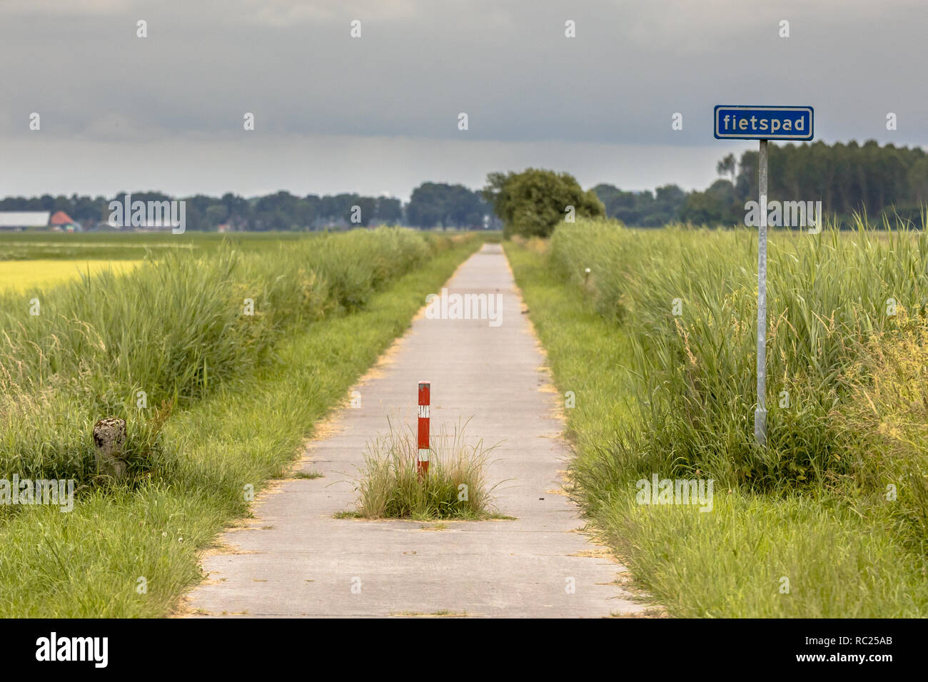 Radweg oder Fietspad durch grüne, flache offene Polderlandschaft in der Provinz Groningen Niederlande Stockfoto