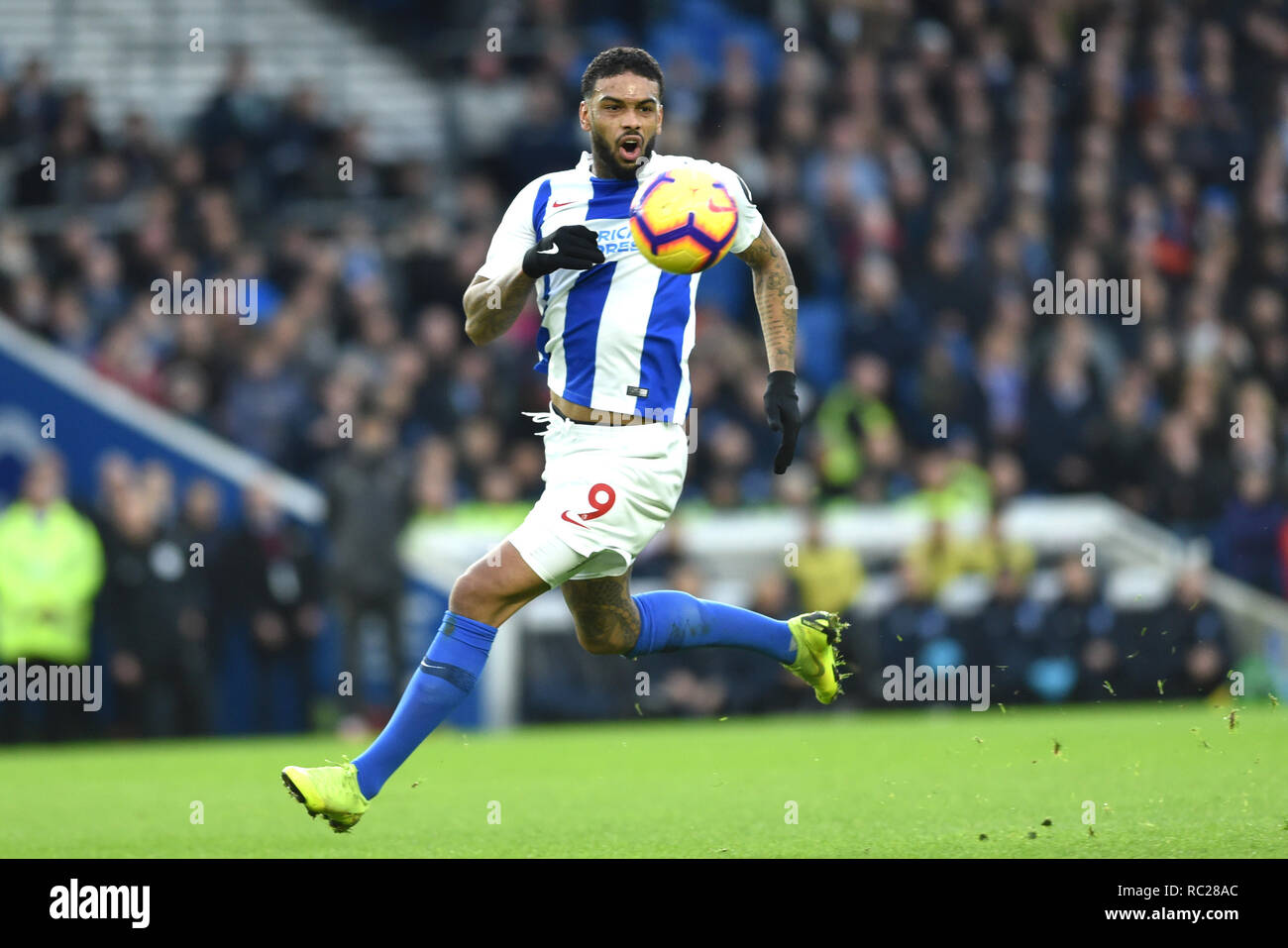 Jurgen Locadia von Brighton während der Premier League Match zwischen Brighton & Hove Albion und Liverpool an der American Express Community Stadion. 12 Januar 2019 nur für den redaktionellen Gebrauch bestimmt. Kein Merchandising. Für Fußball Bilder FA und Premier League Einschränkungen Inc. kein Internet/Mobile Nutzung ohne fapl Lizenz - für Details Kontakt Fußball Dataco Stockfoto