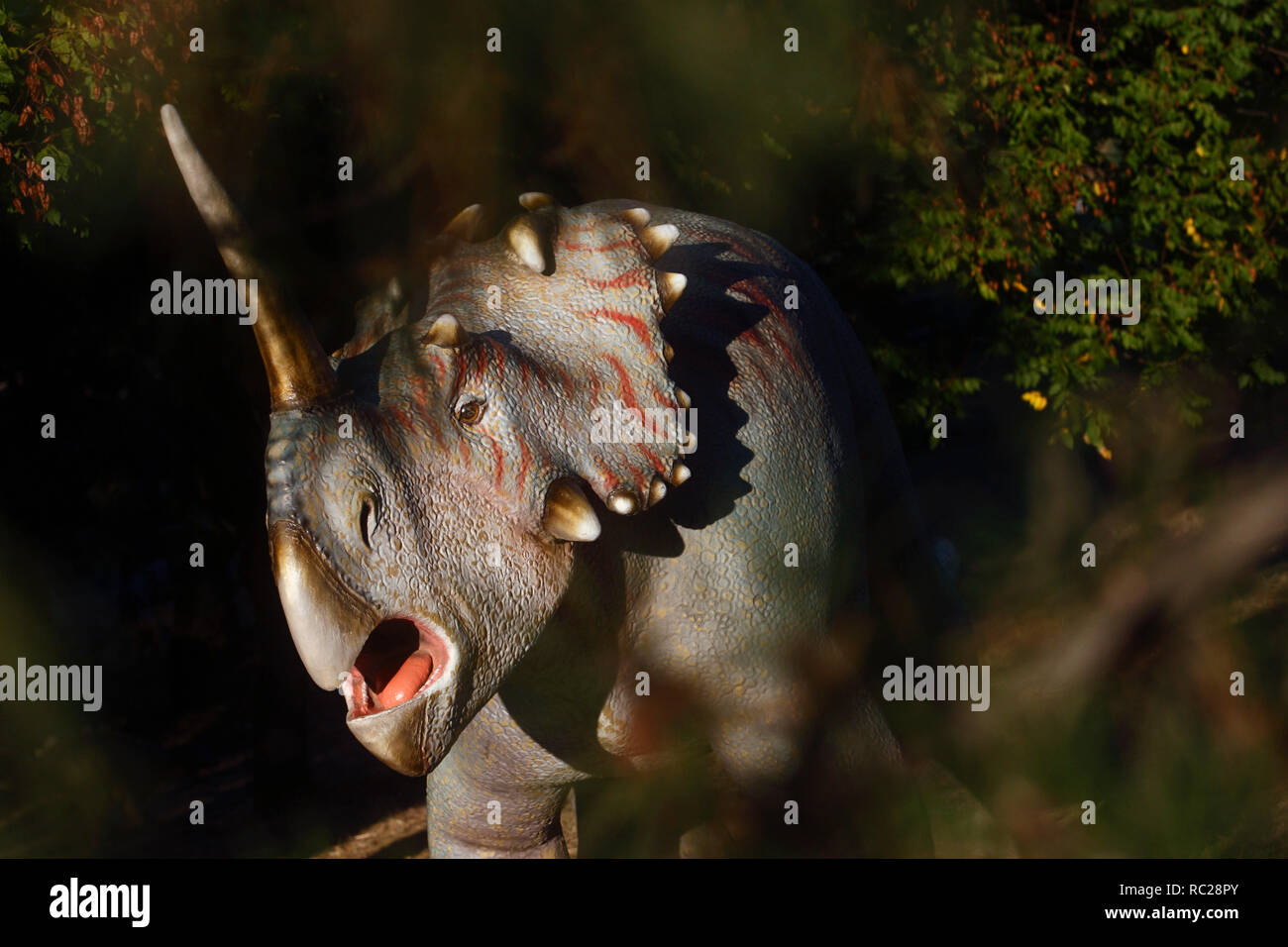 Triceratops auf Dinosaurier Ausstellung Stockfoto