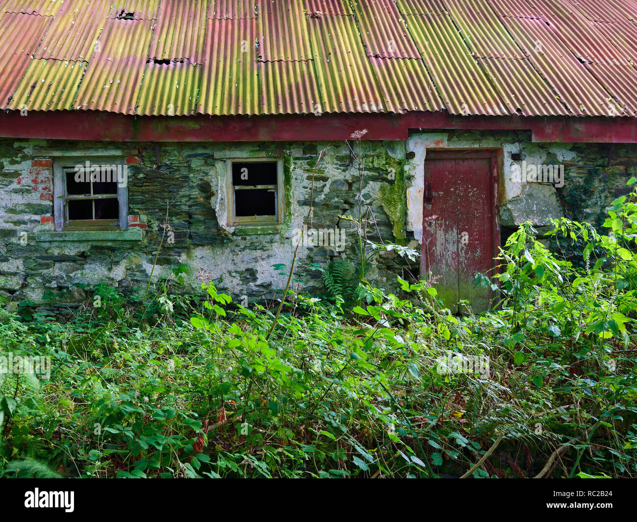 Ein verfallenes Tin Roof cottage in County Wexford, Irland. Stockfoto