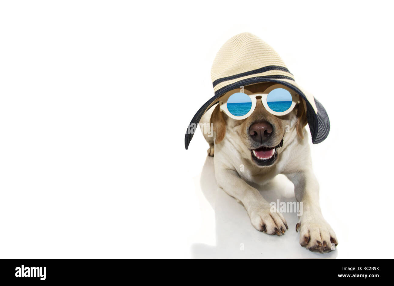 Hund SOMMER. LABRADOR WELPE gekleidet mit Sonnenbrille und PAMELA HAT, BEREIT FÜR DEN STRAND. Isolierte SHOT vor weißem Hintergrund. Stockfoto