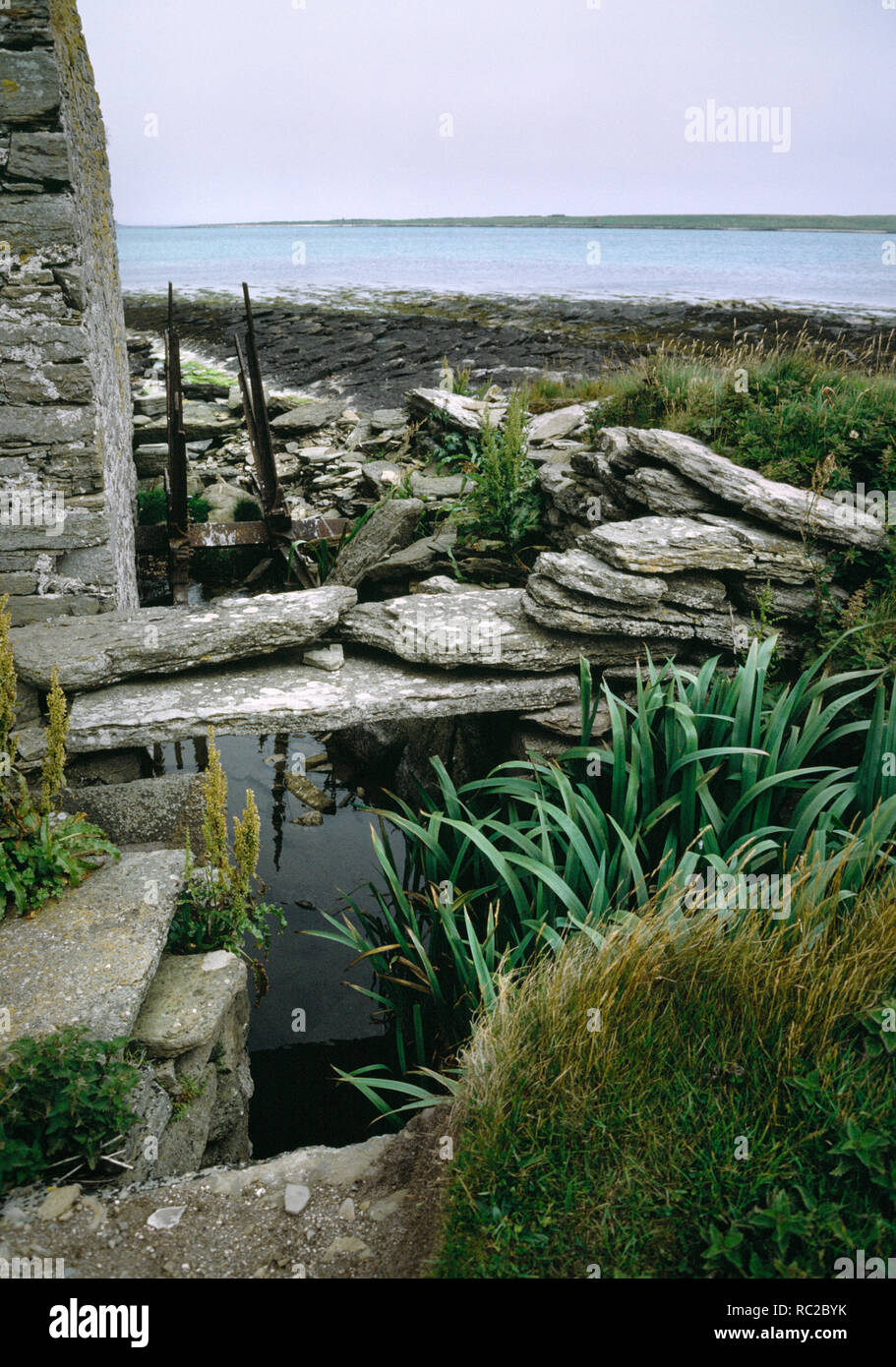 Hookin Wassermühle, Papa Westray, Orkney. Ruiniert unterschritten Getreidemühle neben Strand mit Resten von Wasser, Kanal und Bügeleisen Rahmen der Wasser Rad Stockfoto