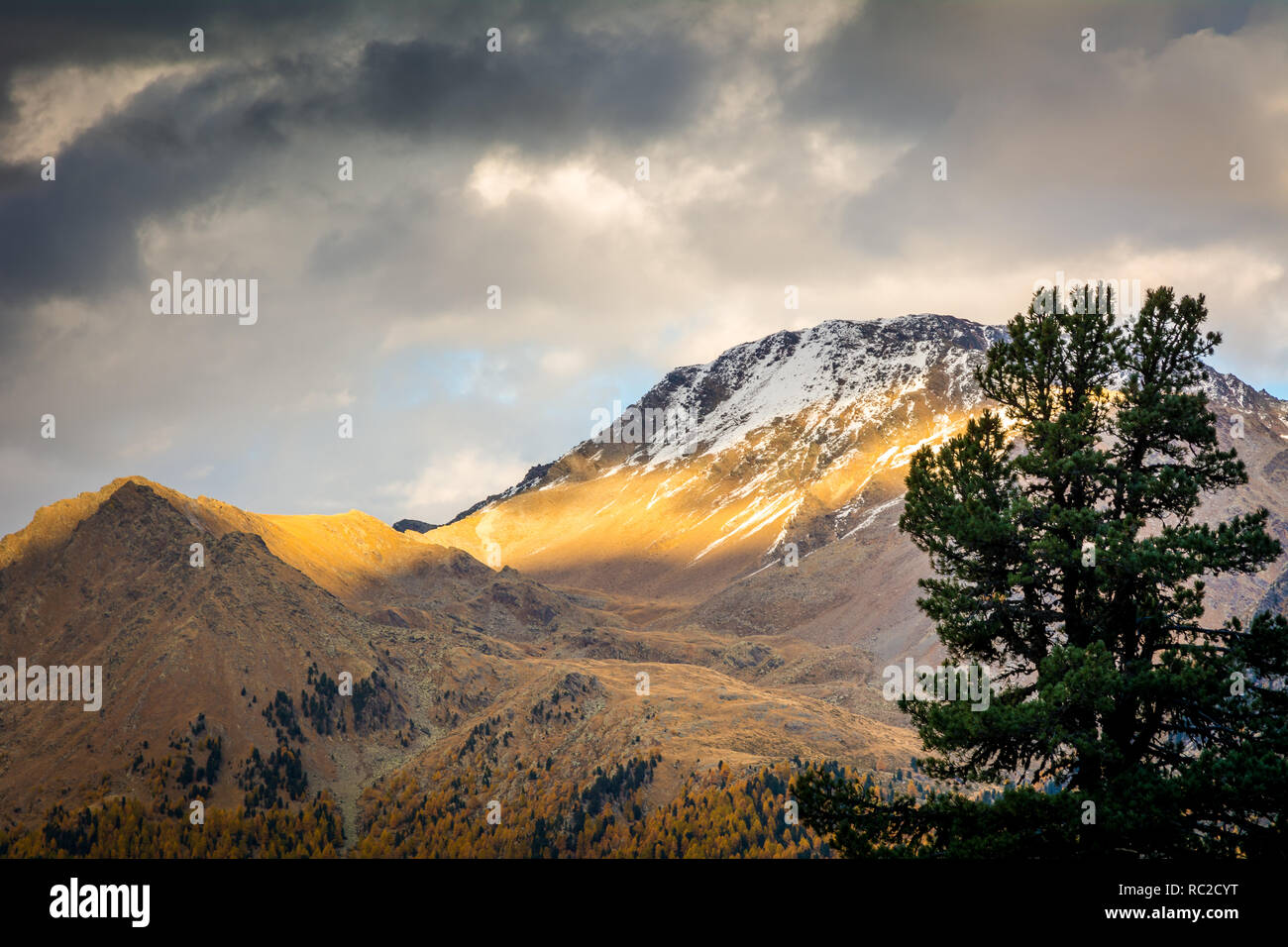 Dolomiten, Herbst Landschaft im Martelltal in Südtirol im Nationalpark Stilfser Joch, Alpen, in Norditalien, in Europa. Schönheit von Stockfoto