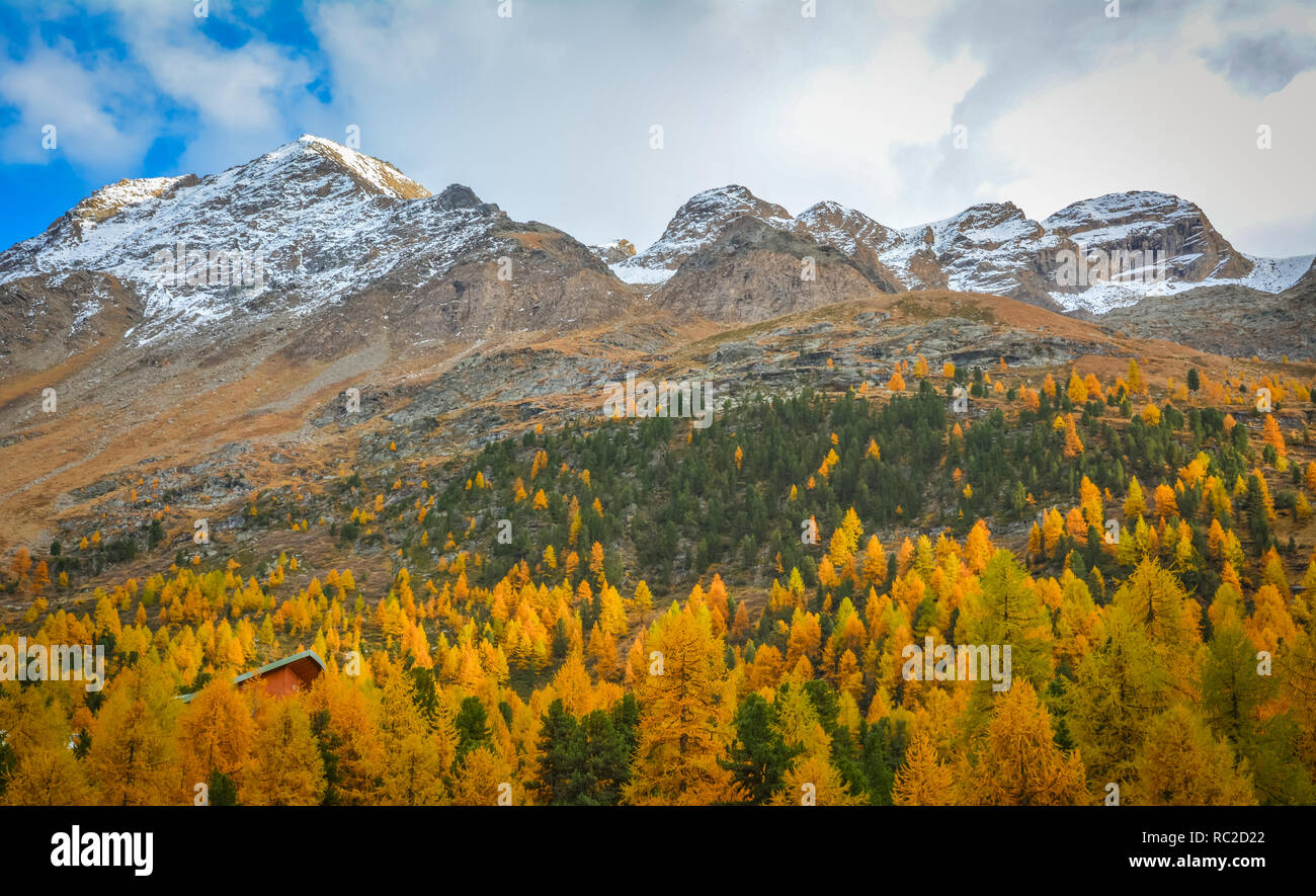 Dolomiten, Herbst Landschaft im Martelltal in Südtirol im Nationalpark Stilfser Joch, Alpen, in Norditalien, in Europa. Schönheit von Stockfoto