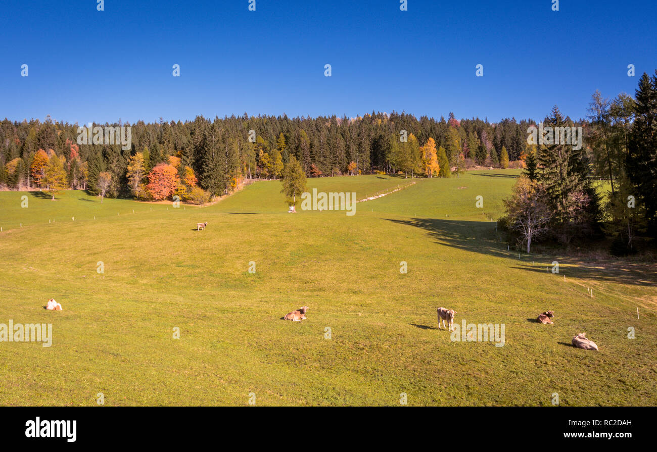 Dolomiten, Herbst Landschaft im Ultental (Val d'Ultimo) in Südtirol, Alpen, in Norditalien, in Europa. Schönheit der Natur Konzept. Stockfoto