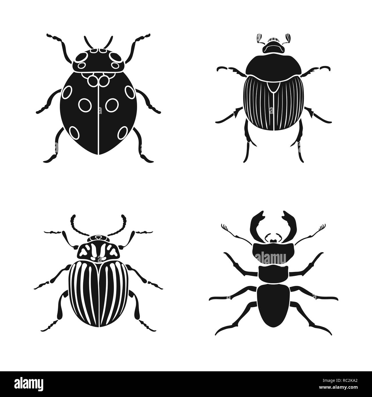 Horn, Marienkäfer, Schädlingsbekämpfung, Schaben, Käfer, Insekten, Käfer, Tier, Halloween, gezeichnet, Tattoo, Natur, botanische, Antenne, Set, Vector, Icon, Illustration, isoliert, Sammlung, Design, Element, Grafik, Zeichen, Schwarz, einfache, Vektor, Vektoren, Stock Vektor