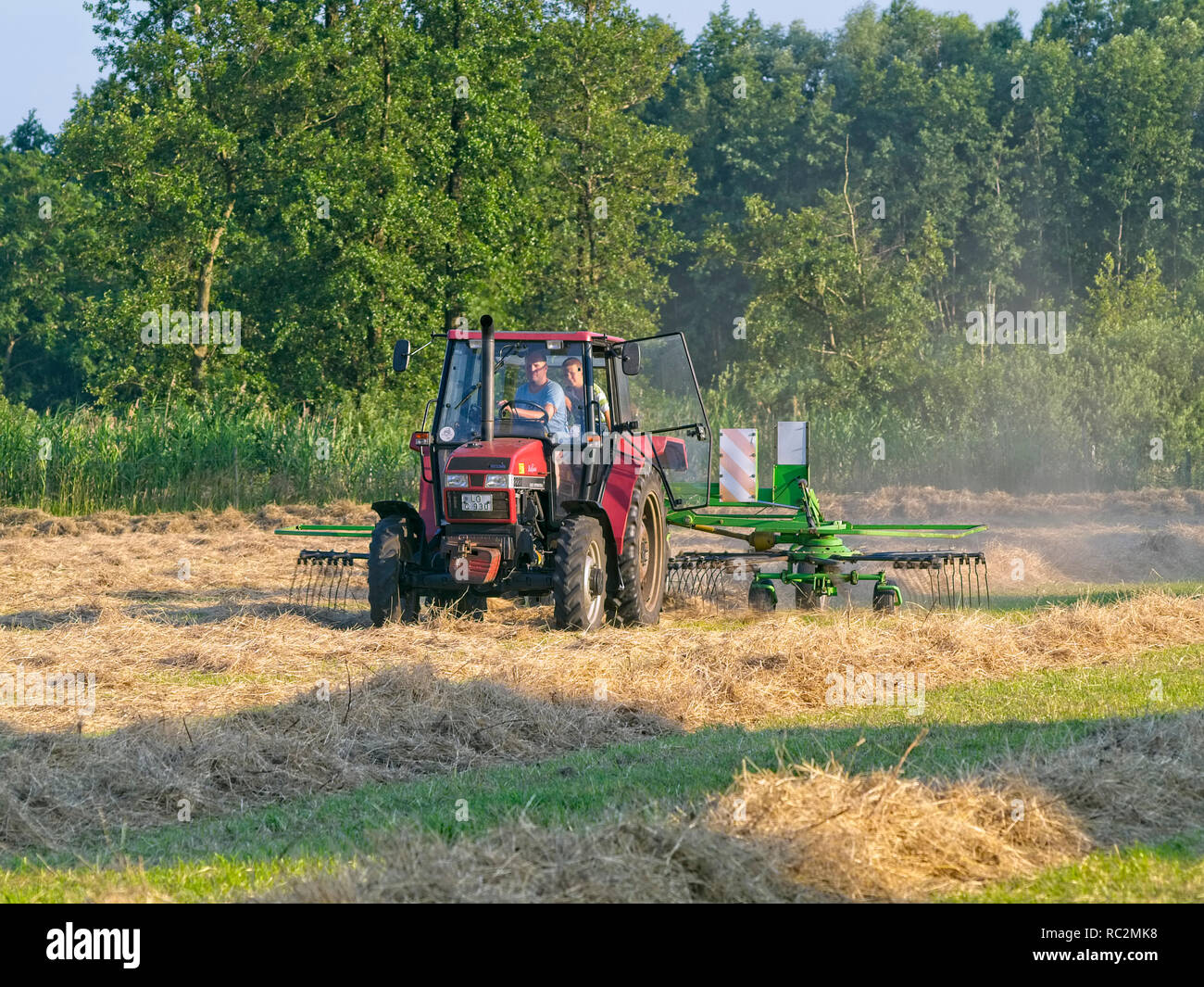 Mobile Heu Heuwender in Aktion auf einer gemähten Wiese in Niedersachsen in der Nähe von Barum, Elbmarsch, Deutschland. Stockfoto