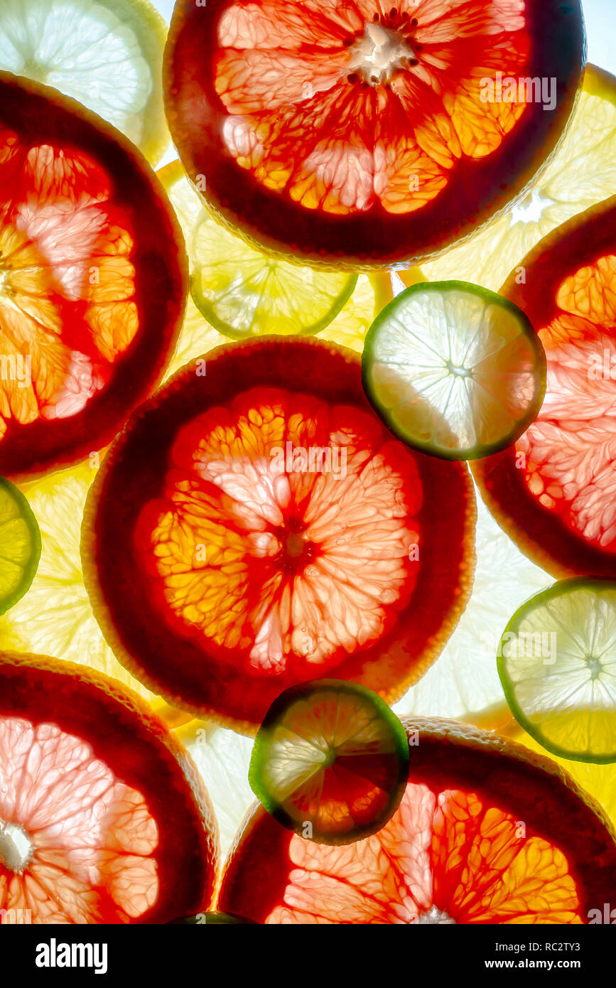 Bunt gemischt in Scheiben geschnittene Früchte orange, limone, Grapefruit, Zitrone. Hintergrund mit Hintergrundbeleuchtung Stockfoto