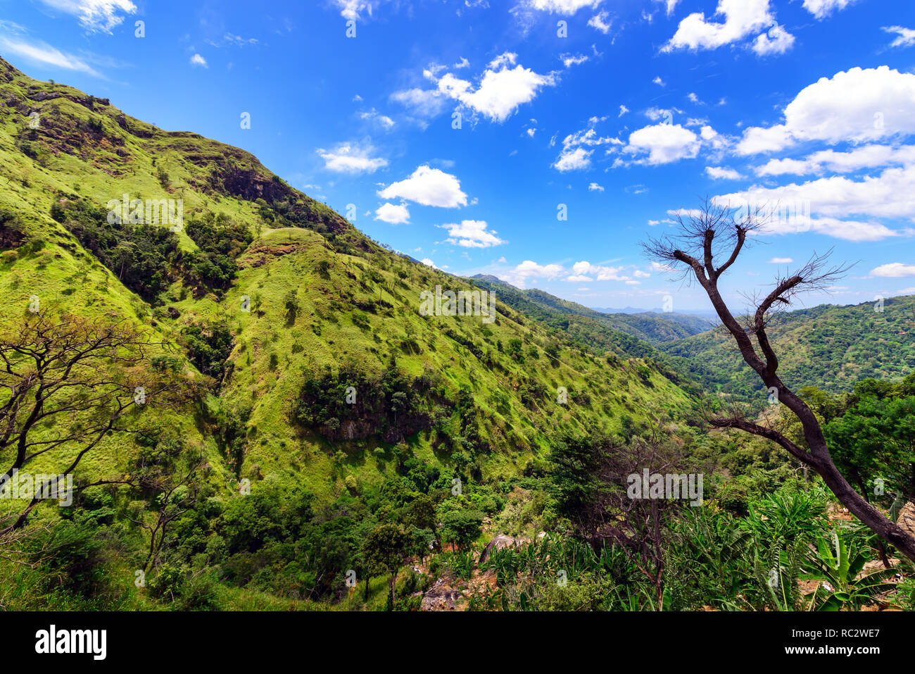 Tal Little Adam's Peak in der Nähe von Ella, Sri Lanka. Die Umgebung Ella hat eine reiche biologische Vielfalt, mit zahlreichen Sorten der Flora und Fauna Stockfoto