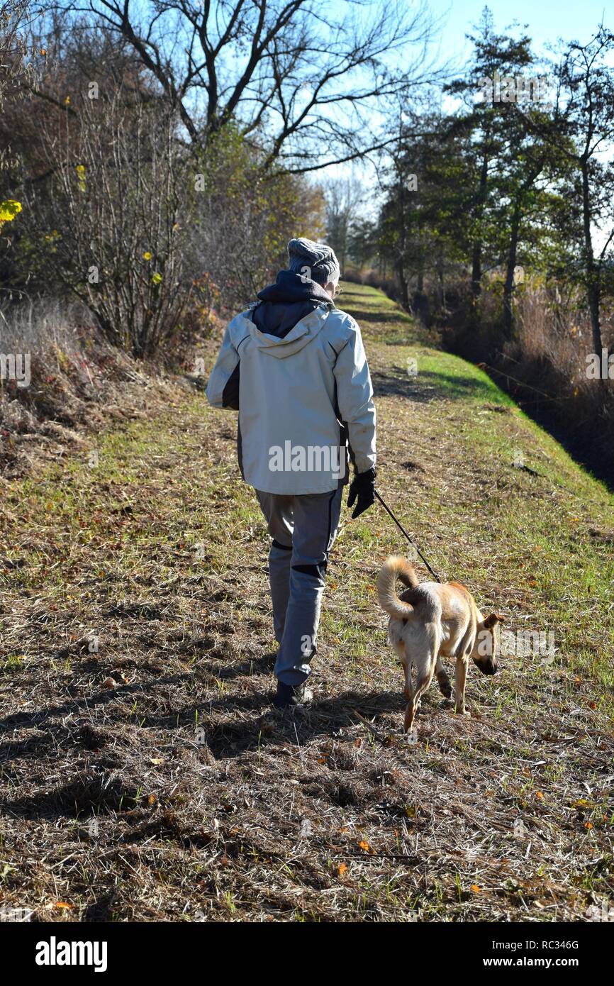 Eine Frau mit einer Jacke ist Laufen mit ihren Mischlingen in einem sonnigen späten Herbst Landschaft. Deutschland, Rheinland-Pfalz, Neustadt an der Weinstraße Stockfoto