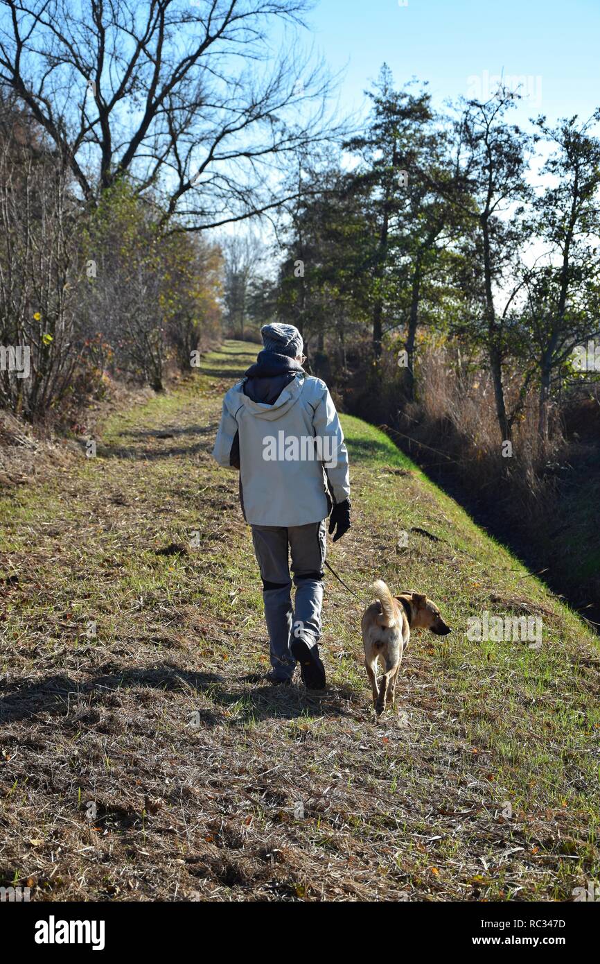 Eine Frau mit einer Jacke ist Laufen mit ihren Mischlingen in einem sonnigen späten Herbst Landschaft. Deutschland, Rheinland-Pfalz, Neustadt an der Weinstraße Stockfoto