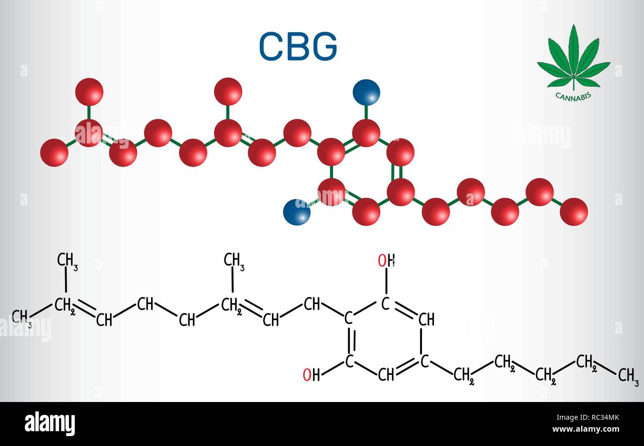 Cannabigerol (CBG) - Strukturelle chemische Formel und Molekül-Modell. Nicht berauschenden Cannabinoid in Pflanzen der Gattung Cannabis. Vector Illustration Stock Vektor