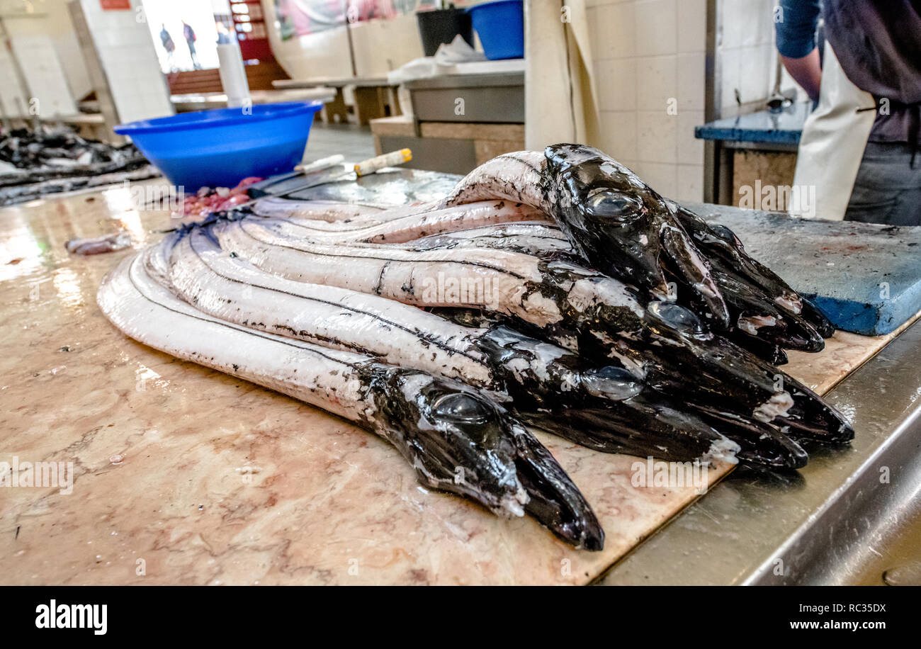 Schwarzer Degenfisch (Aphanopus carbo) an der Funchal indoor Fischmarkt. Stockfoto