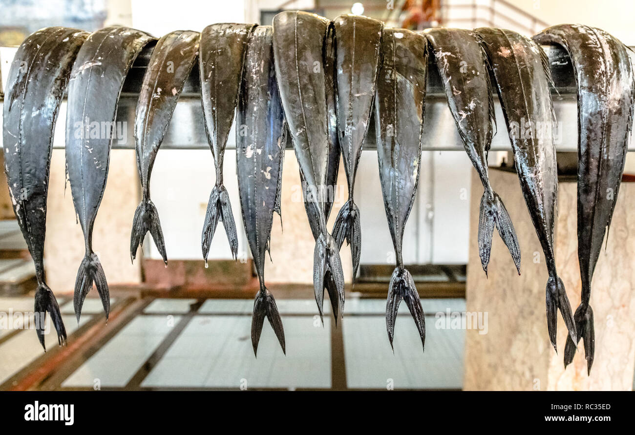Schwarzer Degenfisch (Aphanopus carbo) an der Funchal indoor Fischmarkt. Stockfoto