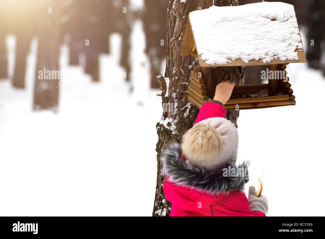 Kleine Mädchen und den Schrägförderer im Winter Park - Animal Care Stockfoto