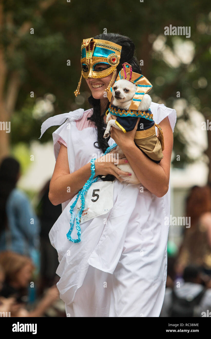 Atlanta, GA, USA - 18. August 2018: Eine junge Frau gekleidet wie eine alte ägyptische Ihr kleiner Hund trägt, gekleidet wie ein PHAROAH an Doggy Con, ein Ereignis wh Stockfoto