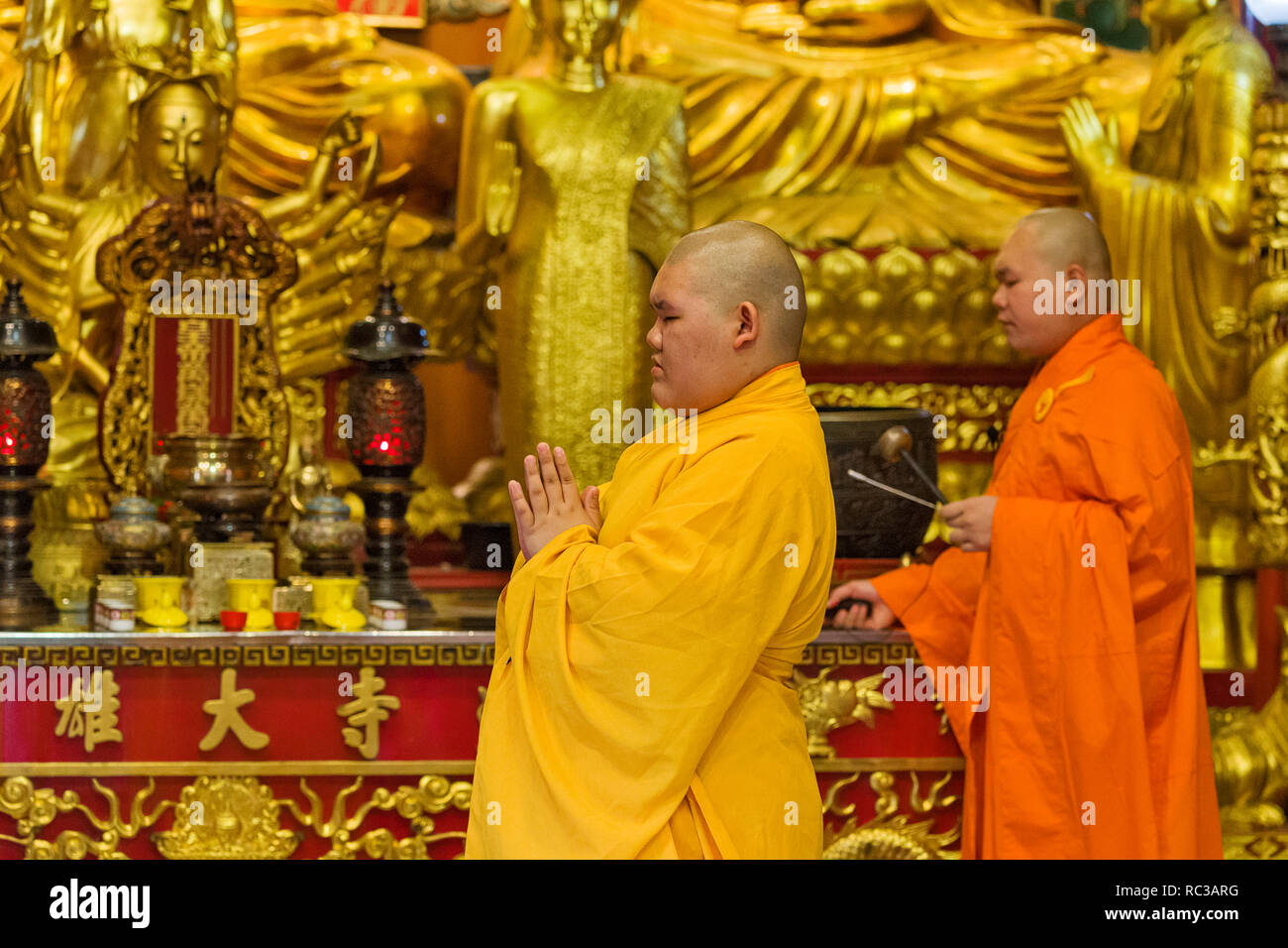 Mönche beten für das chinesische Neujahrsfest in Wat Mangkon Kamalawat in Chinatown, Bangkok, Thailand Stockfoto