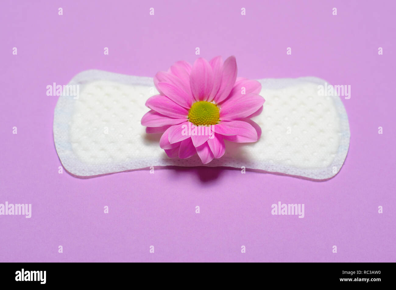 Woman's Sanitär Pad und Gerbera Daisy Flower auf rosa Hintergrund, Feminine Hygiene Konzept Stockfoto