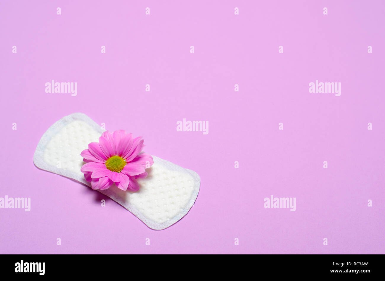 Woman's Sanitär Pad und Gerbera Daisy Flower auf rosa Hintergrund, Feminine Hygiene Konzept Stockfoto