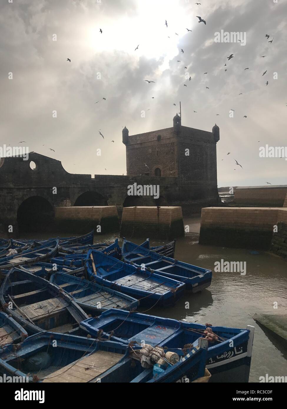 Blauen Boote in Essaouira Marokko Stockfoto