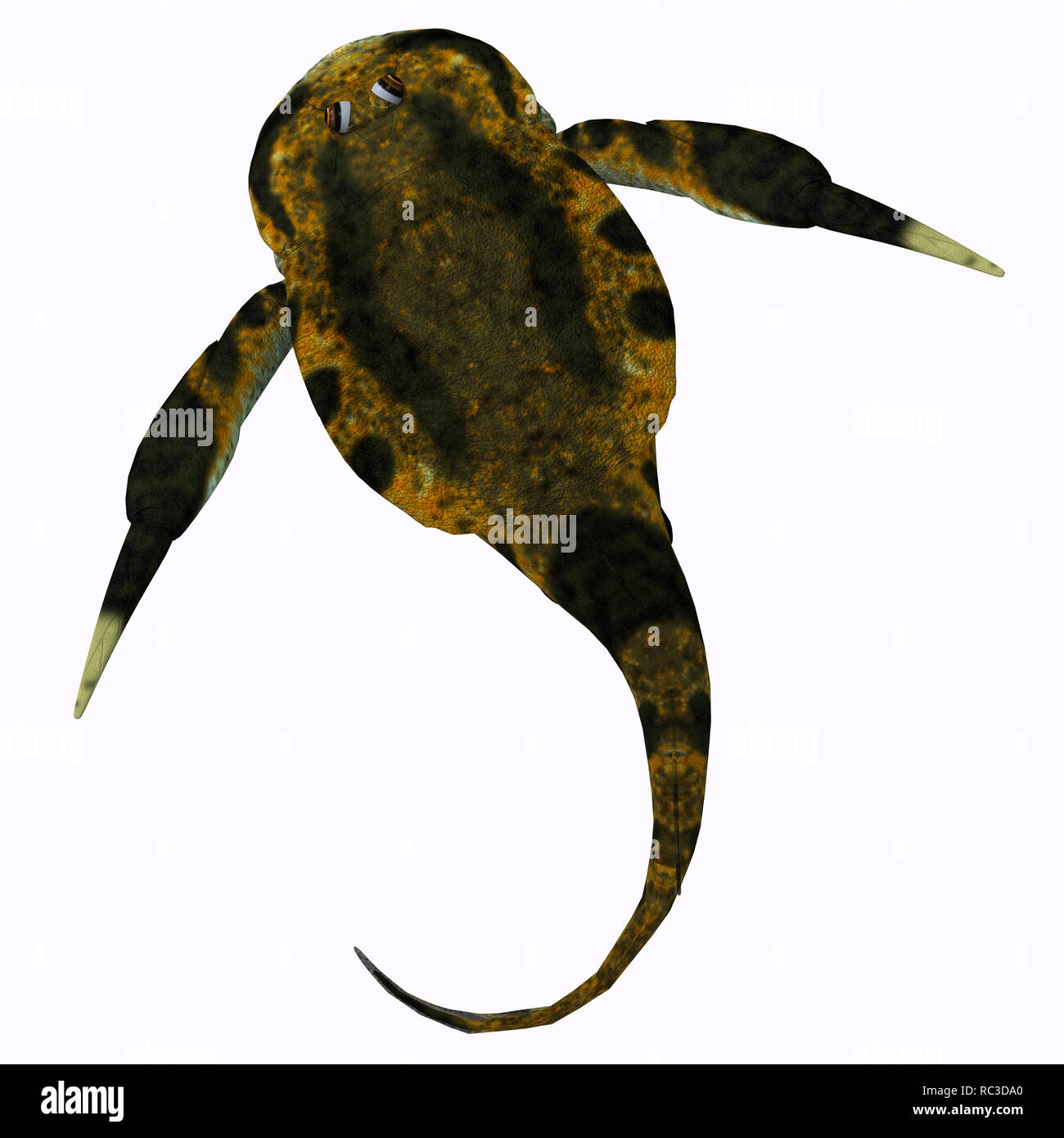 Bothriolepis Fisch - Bothriolepis wurde eine aquatische placoderm Fische, die während der devonzeit im Süßwasser und in der Nähe der Ufer marine Umgebungen lebten. Stockfoto