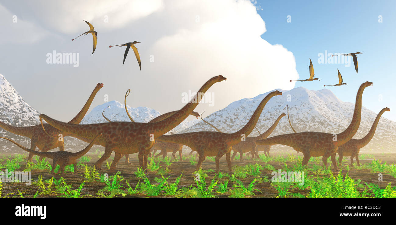 Diplodocus Dinosaur Stockfotos Und bilder Kaufen Alamy diplodocus-dinosaur-stockfotos-und-bilder-kaufen-alamy
