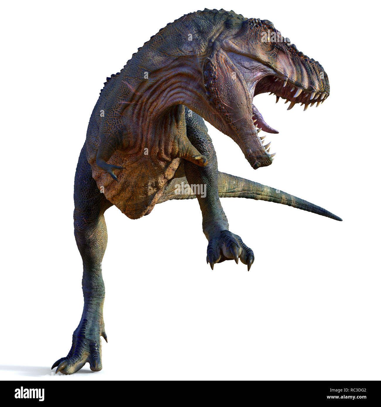 Tyrannosaurus männlichen Dinosaurier - Tyrannosaurus war ein fleischfressender Theropode Saurier, die in Nordamerika in der Kreidezeit lebten. Stockfoto