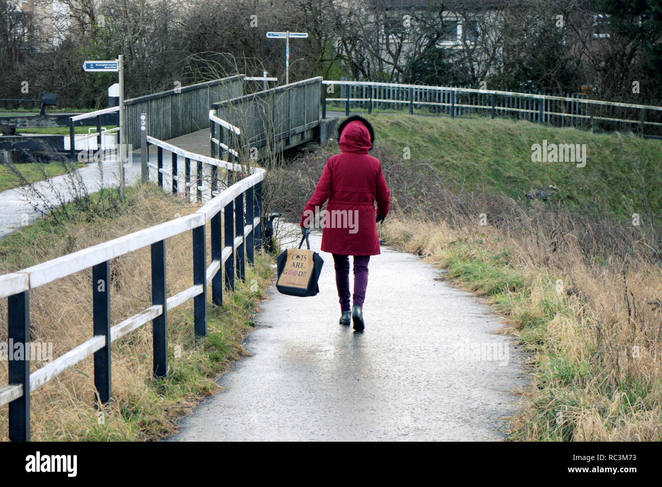 Bowling Hafen, Glasgow, Schottland, Großbritannien, 13. Januar, 2019. UK Wetter: nass und windig regnet Anden die Forth und Clyde Kanal. Kredit Gerard Fähre / alamy Leben Nachrichten Stockfoto