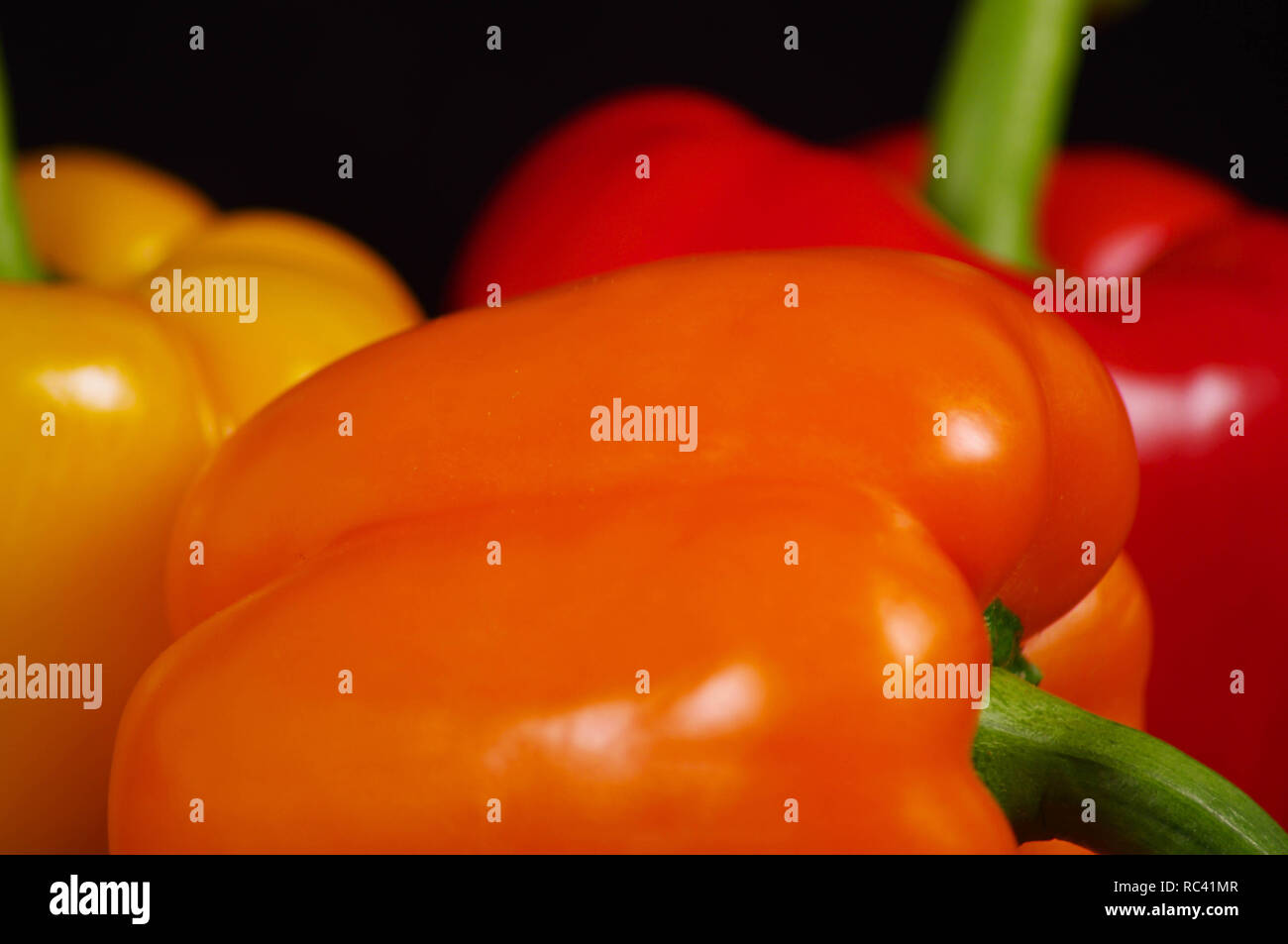 Drei gelbe, orange und rote Paprika mit grünen Stengeln in Still Life mit schwarzem Hintergrund Stockfoto