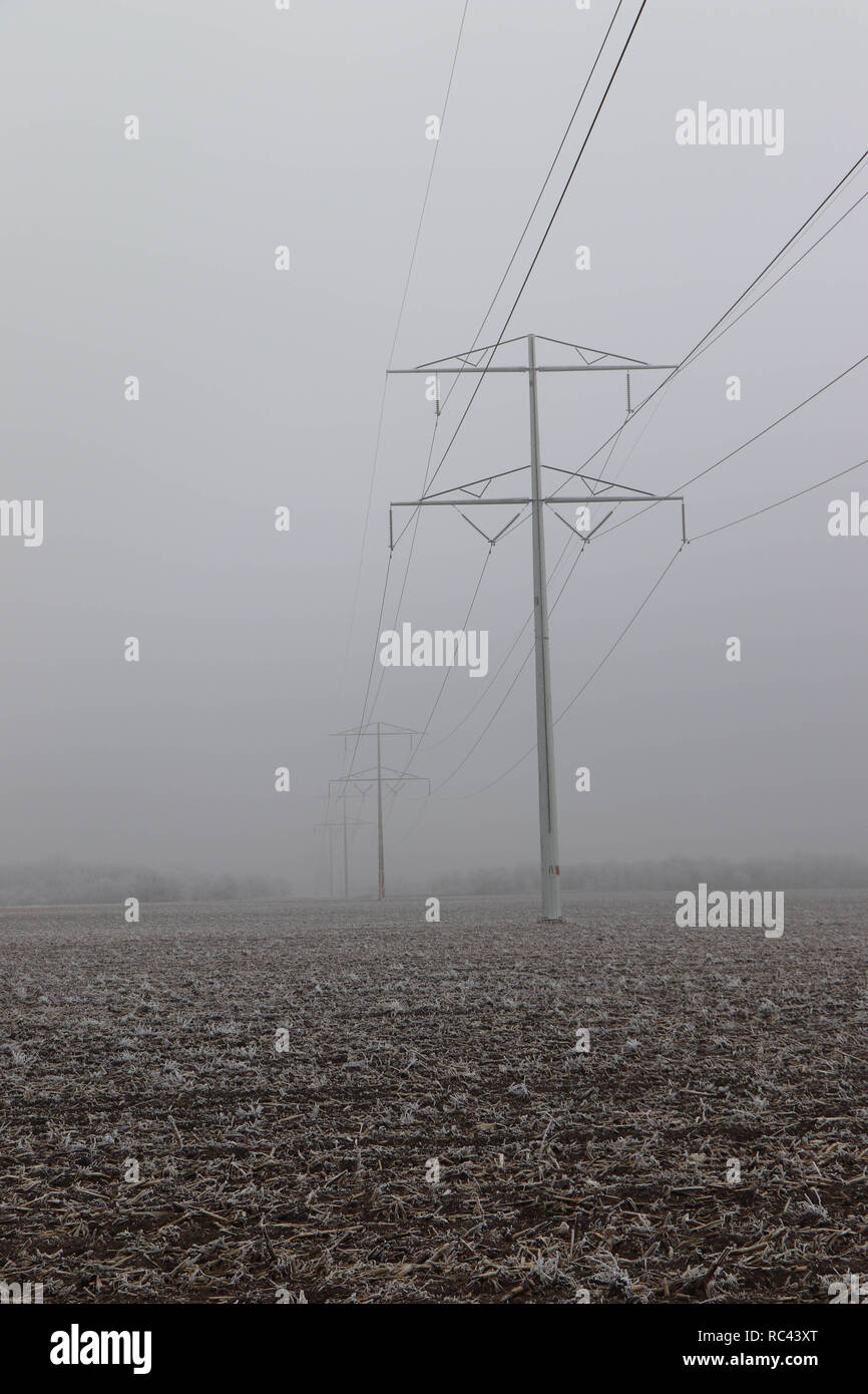 Hohe Stromleitungen im Nebel Stockfoto