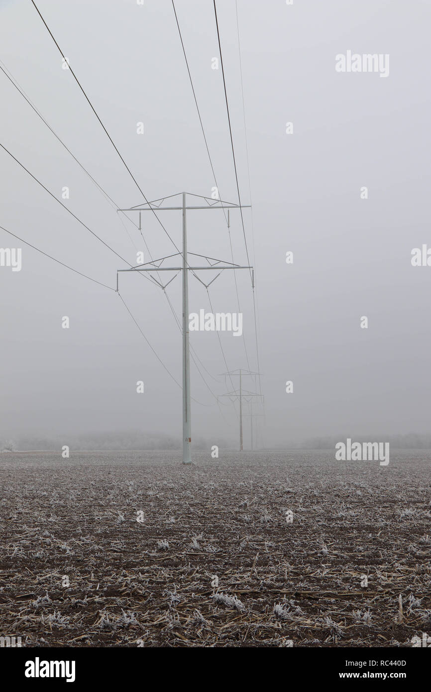Hohe Stromleitungen im Nebel Stockfoto