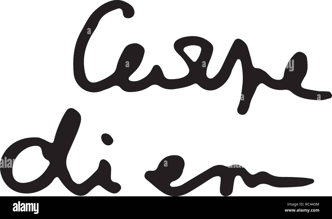 Carpe Diem. Doodle grunge-Schriftzug. Pinsel Kalligraphie Text für Banner, Poster, Grußkarten, Party Einladung. Vector Illustration Stock Vektor