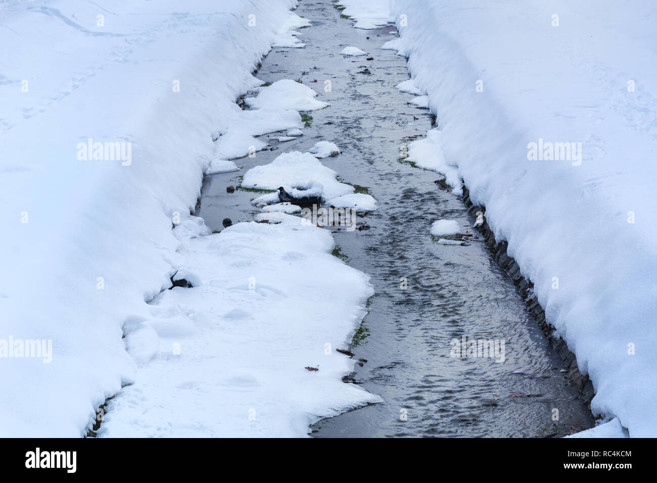 Gefrorene kleiner Fluss im Winter kalten Tag im City Park. Eisberg auf dem Wasser schwimmend. Winter und Kälte Konzept Stockfoto