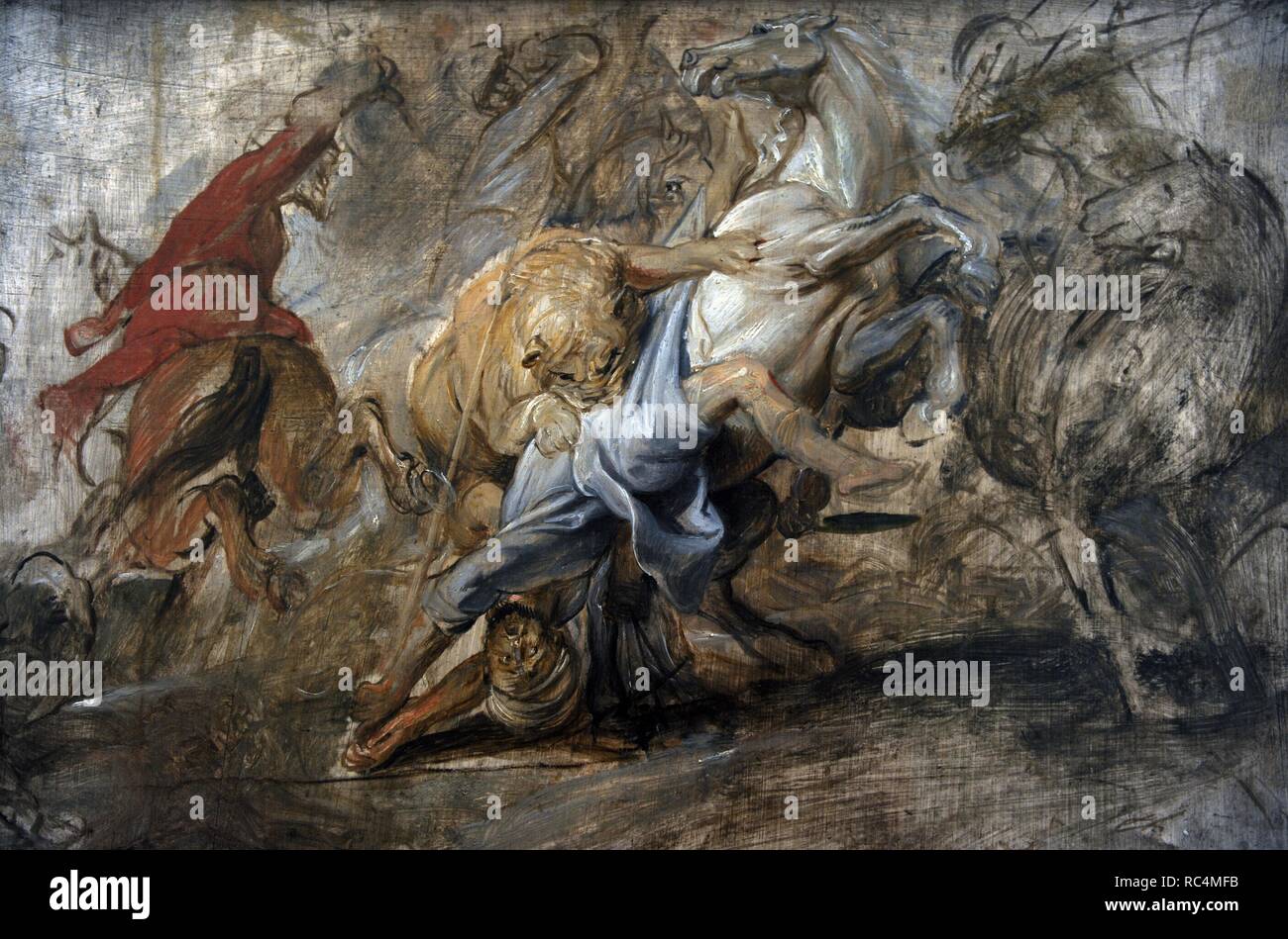 Rubens (1577-1640). Flämischer Maler. Ölskizze für die Löwenjagd, 1621-1622. Alte Pinakothek. München. Deutschland. Stockfoto
