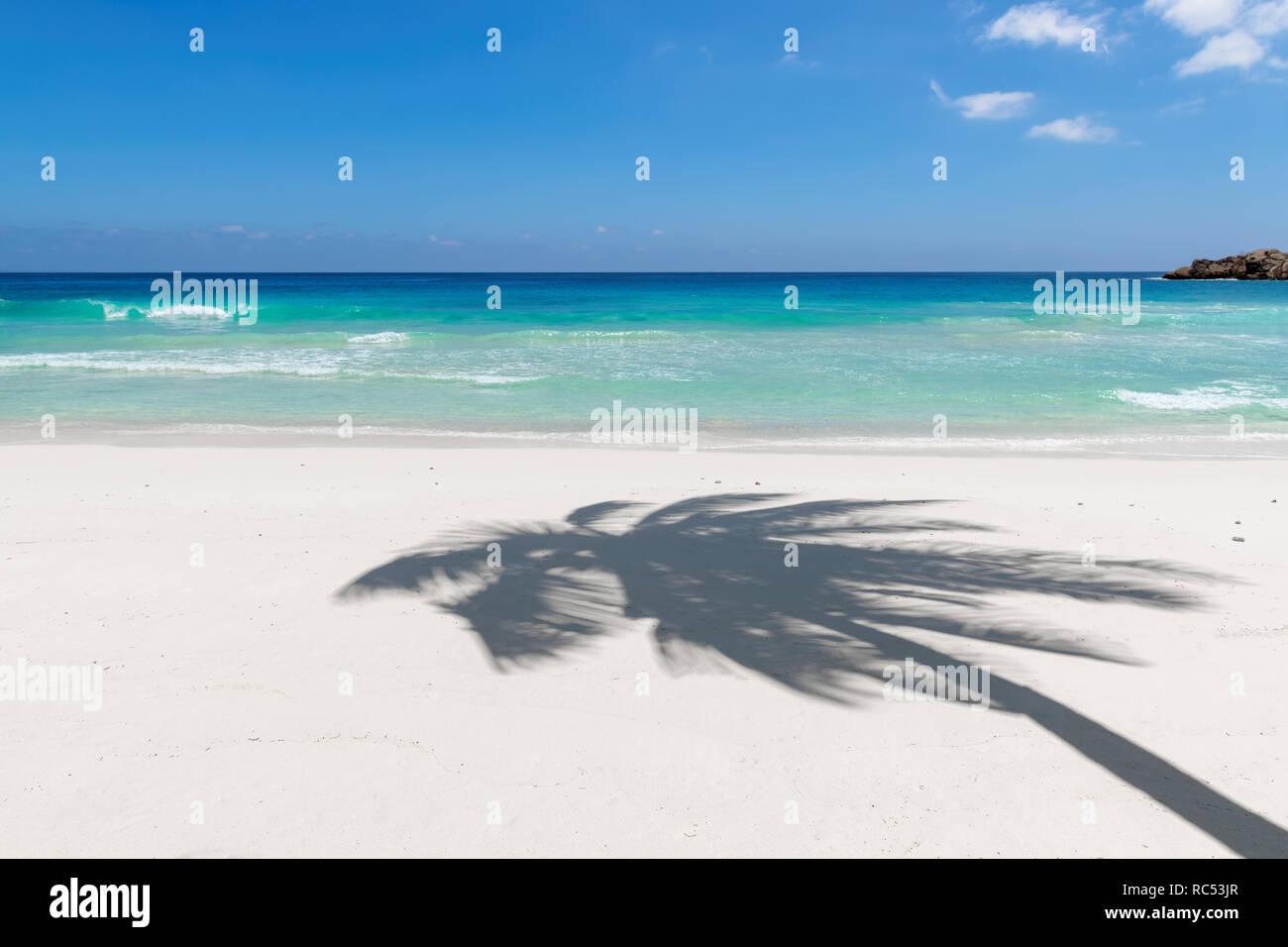 Coco Palm Schatten auf weißem Sand tropischen Strand. Stockfoto
