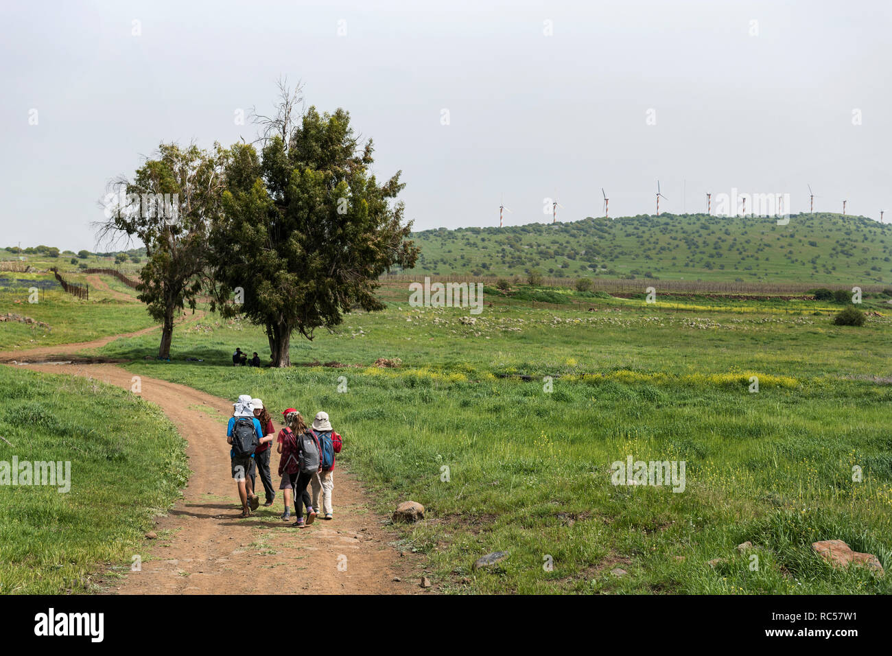 Israelische Kinder wandern in ‘Golan Heights’, während berühmte Windturbinen im Hintergrund zu sehen sind. Israel Stockfoto